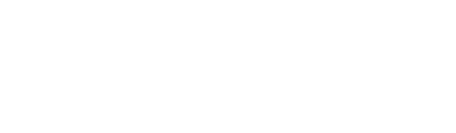 Strong Point Financial Inc Logo